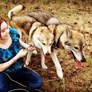 Meet your Posher, Tammy